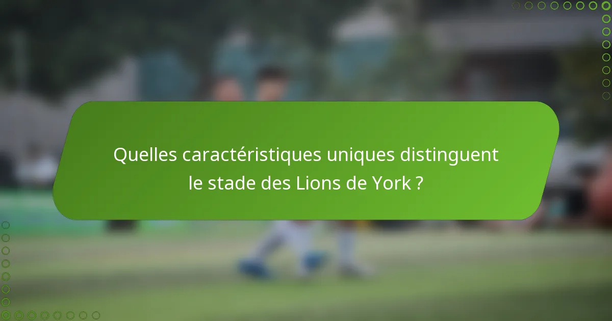 Quelles caractéristiques uniques distinguent le stade des Lions de York ?