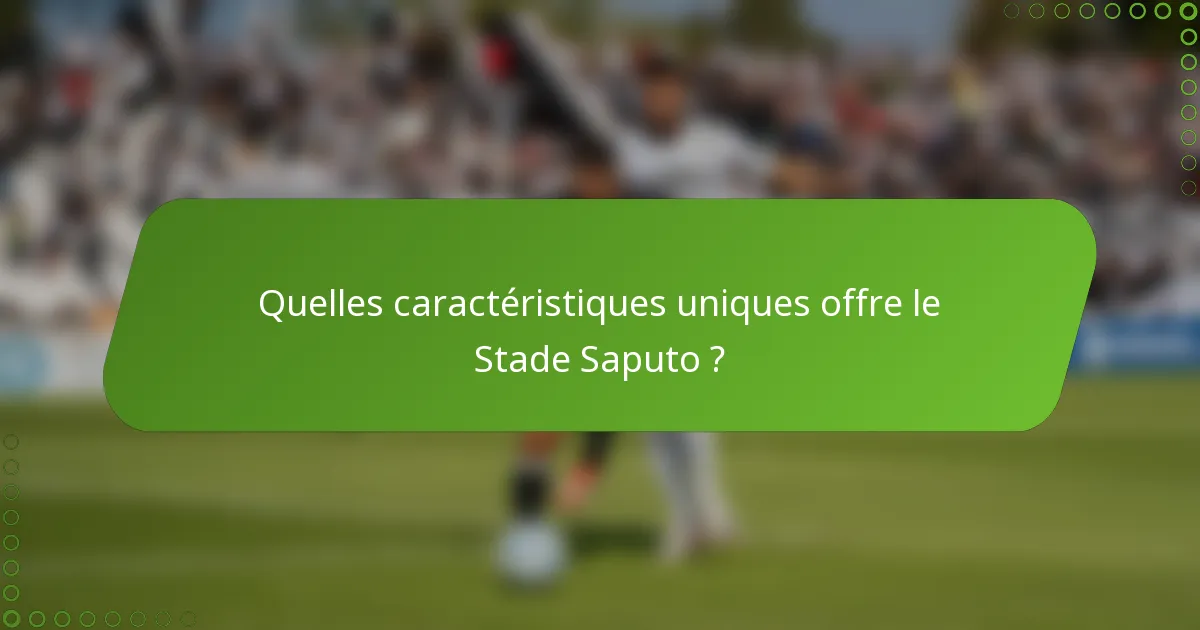 Quelles caractéristiques uniques offre le Stade Saputo ?