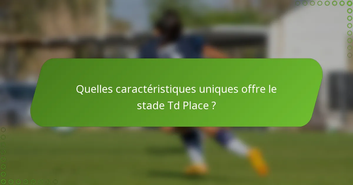 Quelles caractéristiques uniques offre le stade Td Place ?