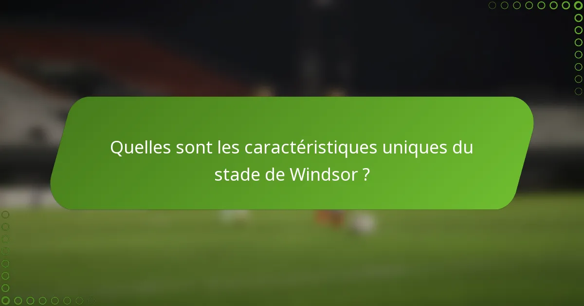 Quelles sont les caractéristiques uniques du stade de Windsor ?