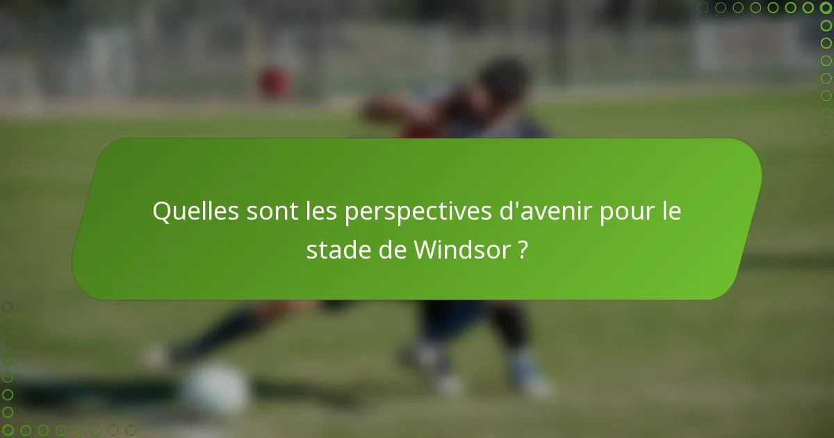 Quelles sont les perspectives d'avenir pour le stade de Windsor ?